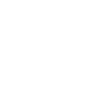 BLOCKED TOILETS